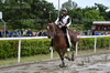Immagine <b>REG_9247</b>